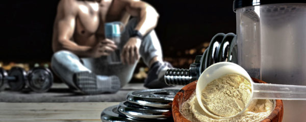 protéine musculation